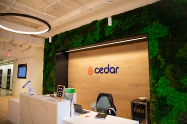 Cedar Thumbnail